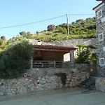 Labetia